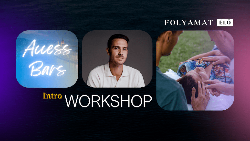 Access BARS Intro Workshop - Folyamat