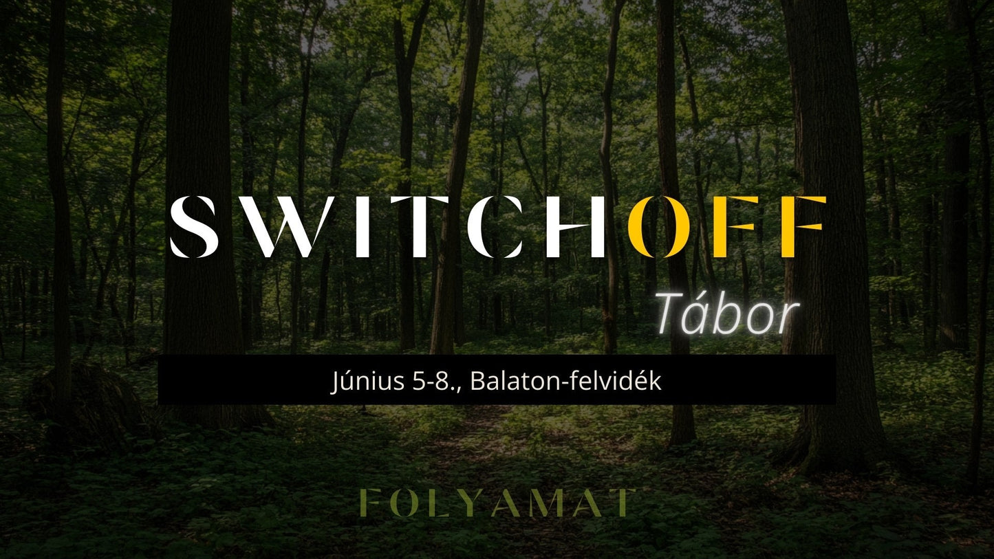 SWITCH - OFF Tábor - Folyamat