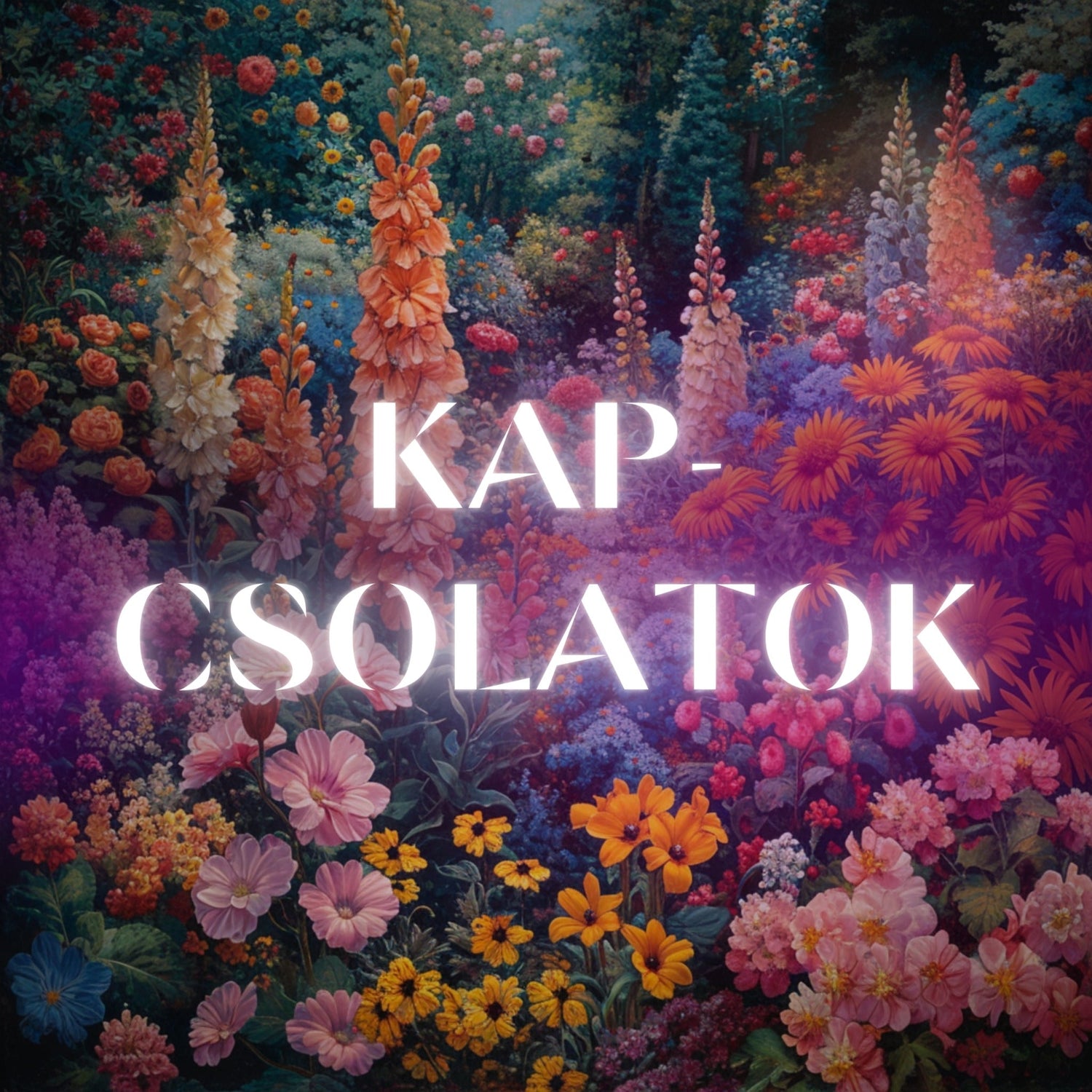 Kapcsolatok - Folyamat