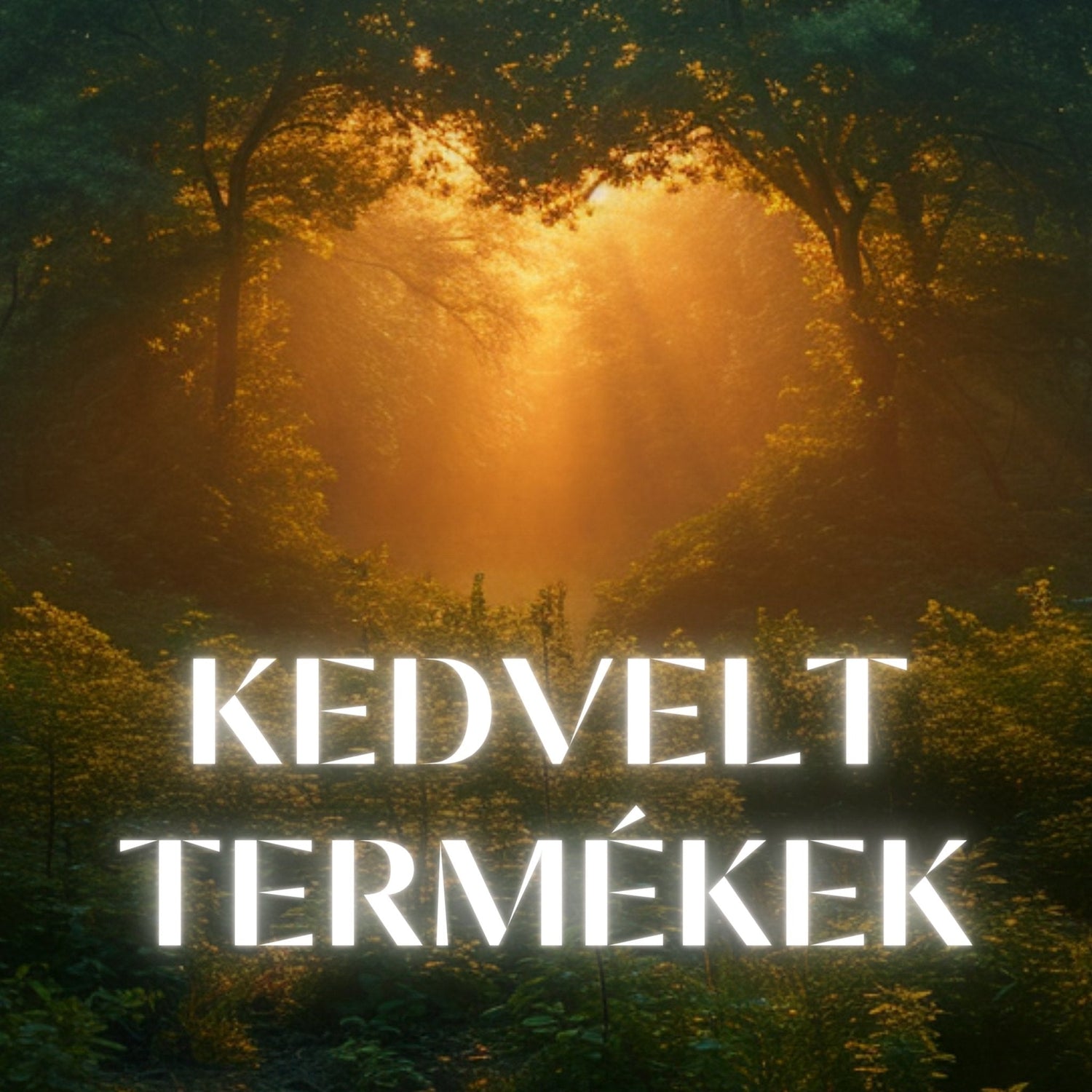 Kifejezetten kedvelt termékek - Folyamat