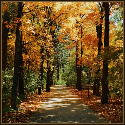 Indián Nyár Tábor